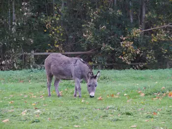 Mullem (Belgium)